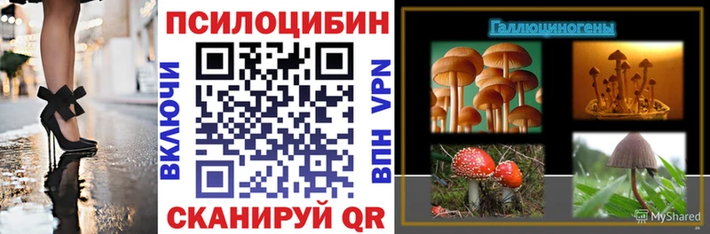 ОМГ ОМГ   Туринск  Галлюциногенные грибы Psilocybe 