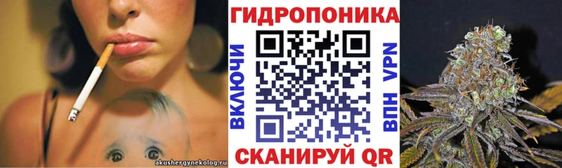 Бошки марихуана SATIVA & INDICA  ОМГ ОМГ вход  Туринск 